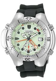 citizen promaster