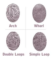 types fingerprints