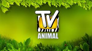 http://t0.gstatic.com/images?q=tbn:jwKUSX5TE_l34M:http://audienciadatv.com/wp-content/uploads/2009/10/tv-animal.jpg