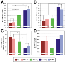 A. Brain weight differences