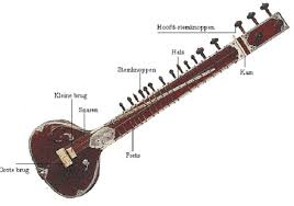 the sitar