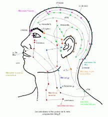 acupuncture meridien