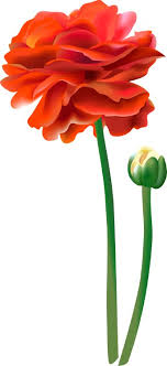 small flower clipart
