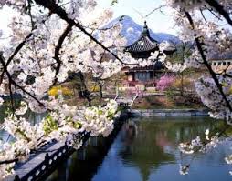south korea culture