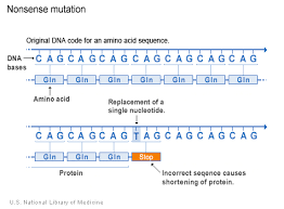 dna code