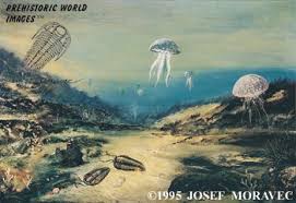 ordovician period