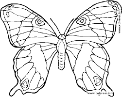coloring books animals