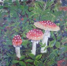 alaskan mushrooms