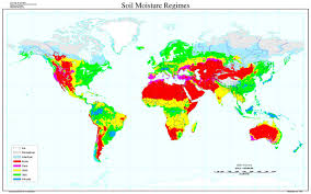 soil moisture