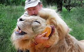 Zoo keeper
