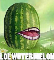 watermelonlolwut.jpg&t=1