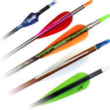 arrows hunting