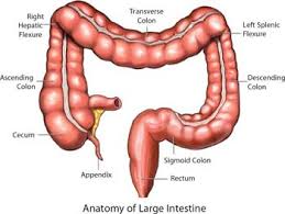 colon cleaning