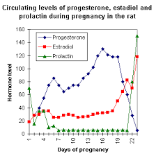 hormone level
