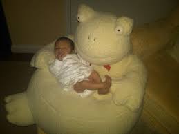 critter chair