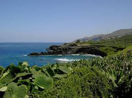 la palma