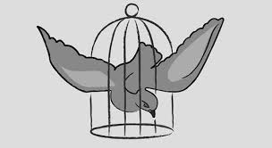 Προβολή εικόνας πλήρους μεγέθους