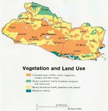 el salvador economy/home