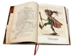 the spiderwick chronicles field guide