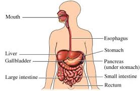 Thus, celiac disease is also
