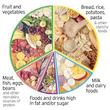 diet plate