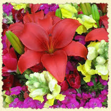 month flowers