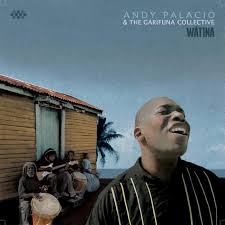 andy palacio