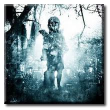 Machine Head - From The Ashes Of Empires [disc 1]