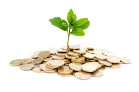 money grow