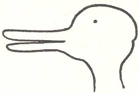 gambar bebek