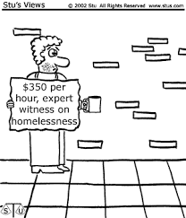 expert witnesses