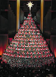 living xmas tree