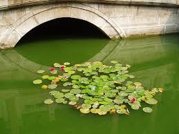 cite interdite chine