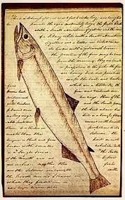 lewis clark journal