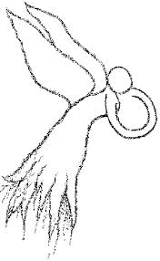printable coloring pages dogs