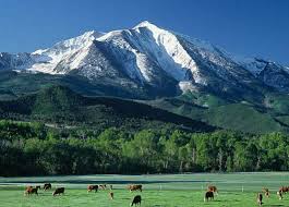 11 news in colorado