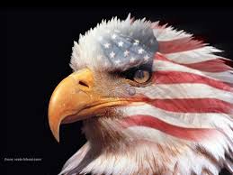 bald eagle flag