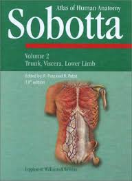 atlas sobotta