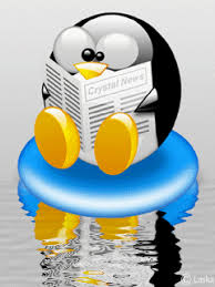 penguin news