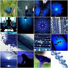 colour indigo