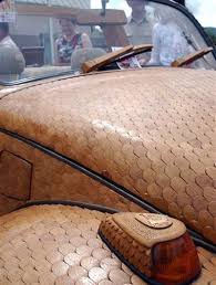 vw beetle pictures