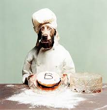 dog artist