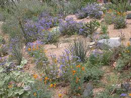 deserts of california