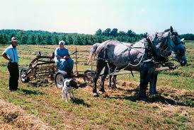 amish new york