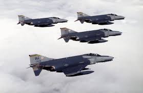 wild weasel