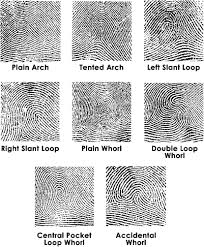 types fingerprints