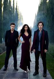 vampire diaries novel series