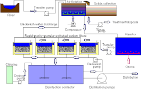 water purifying plants