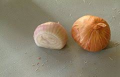 shallot seed