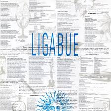 Ligabue - Ligabue
